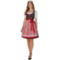 Red Gingham Dirndl Dress with Off-Shoulder Blouse